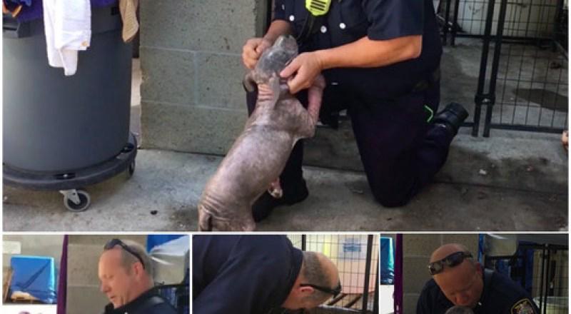 TT Captured on camera: A firefighter reunites with the sick puppy he rescued TT Captured on camera: A firefighter reunites with the sick puppy he rescued