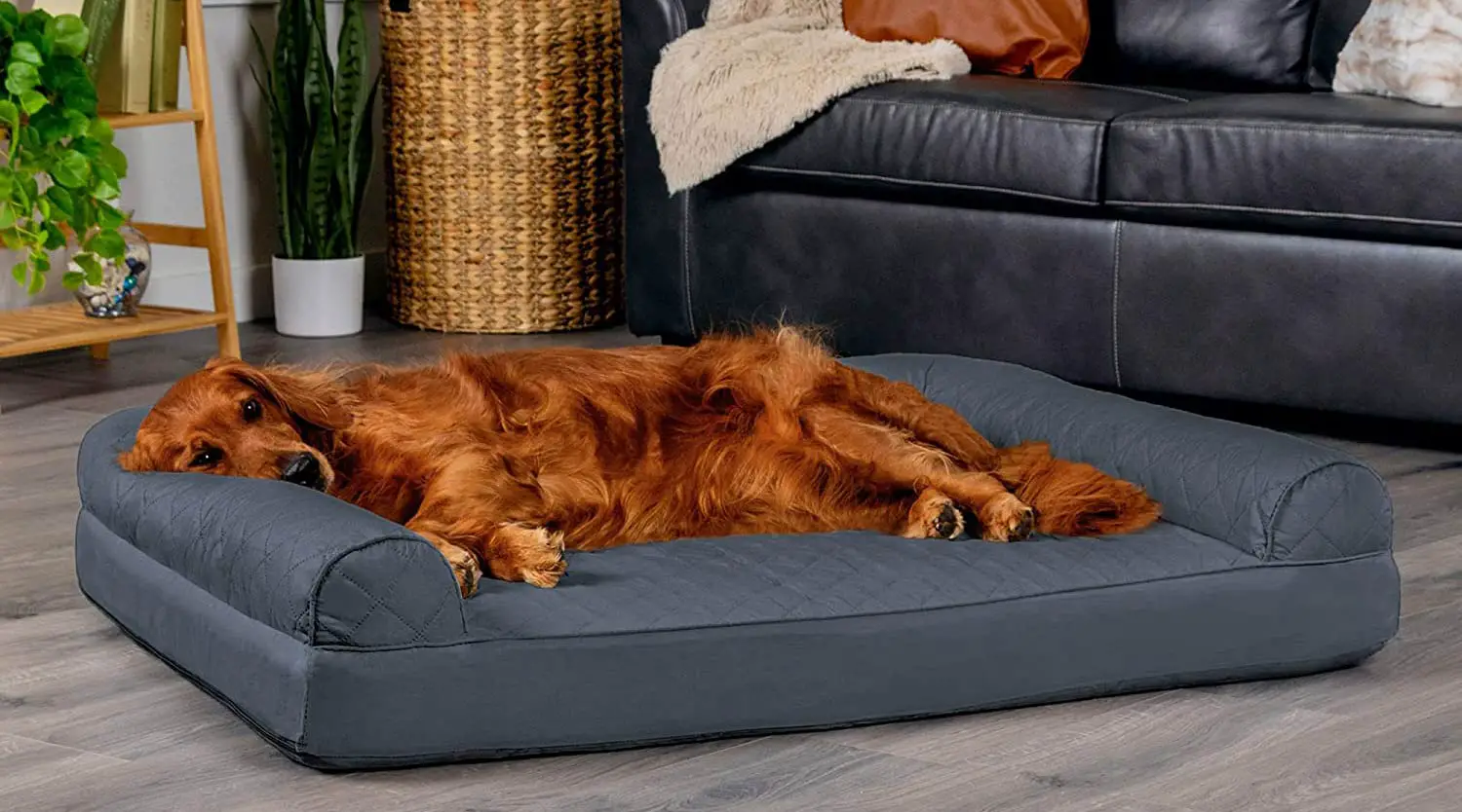 Top 10 Best Dog Beds: A Comprehensive Guide to Choosing The Perfect Bed for Your Furry Friend.