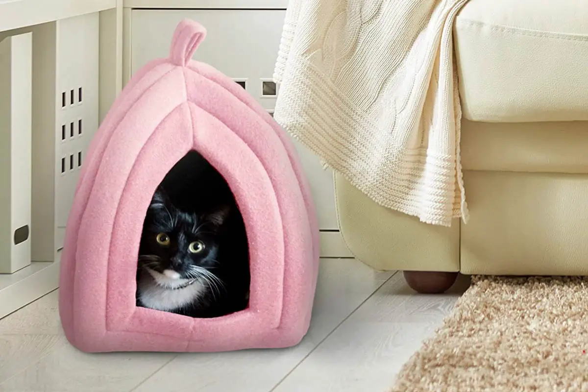 Top 10 Best Cat Beds: Petmaker Tent Igloo Cat Bed