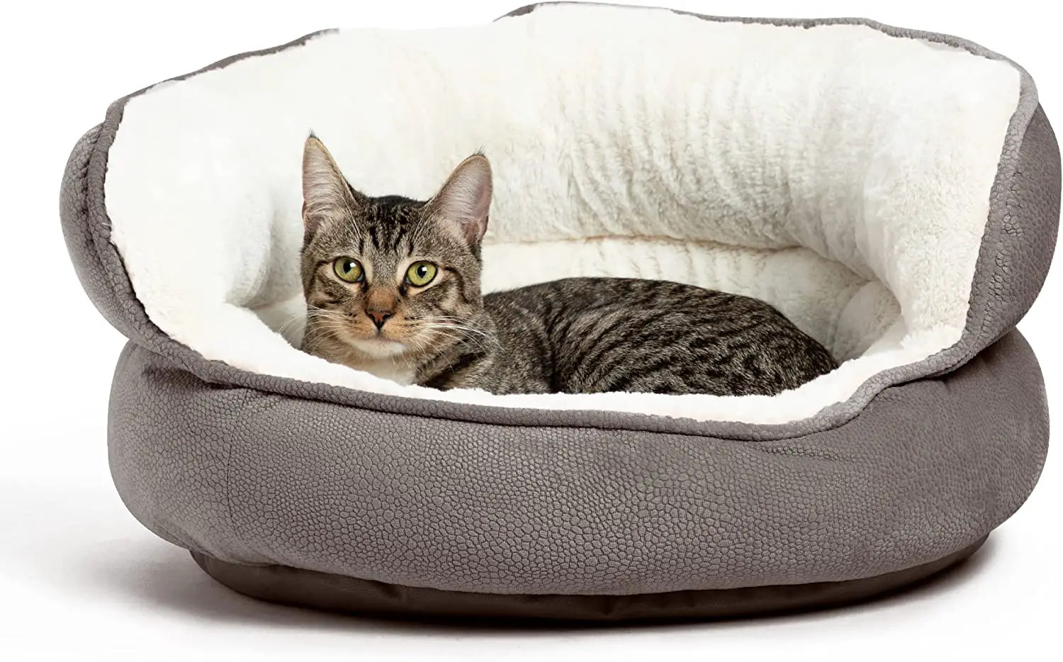 Top 10 Best Cat Beds: A Comprehensive Guide to Choosing The Perfect Bed for Your Cats