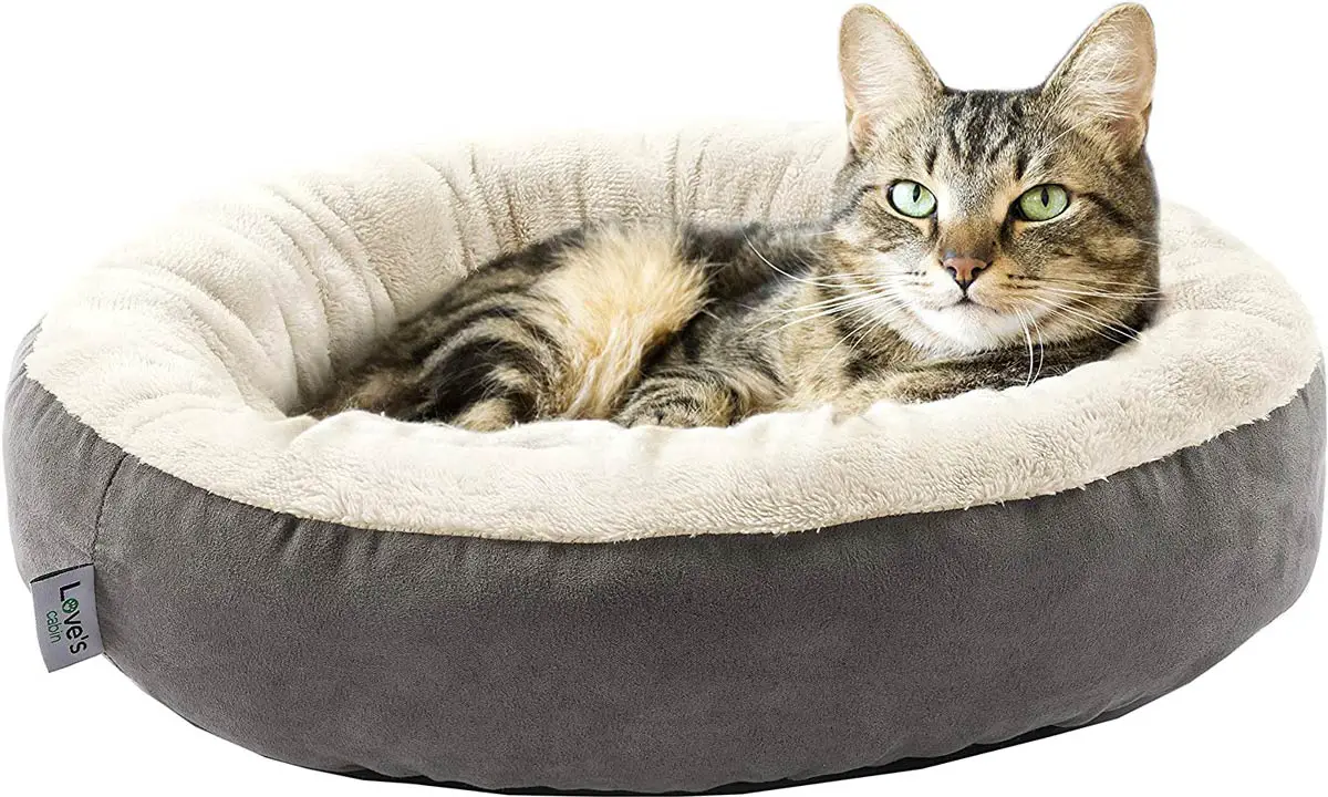 Top 10 Best Cat Beds: Love’s Cabin Round Donut Cat Bed