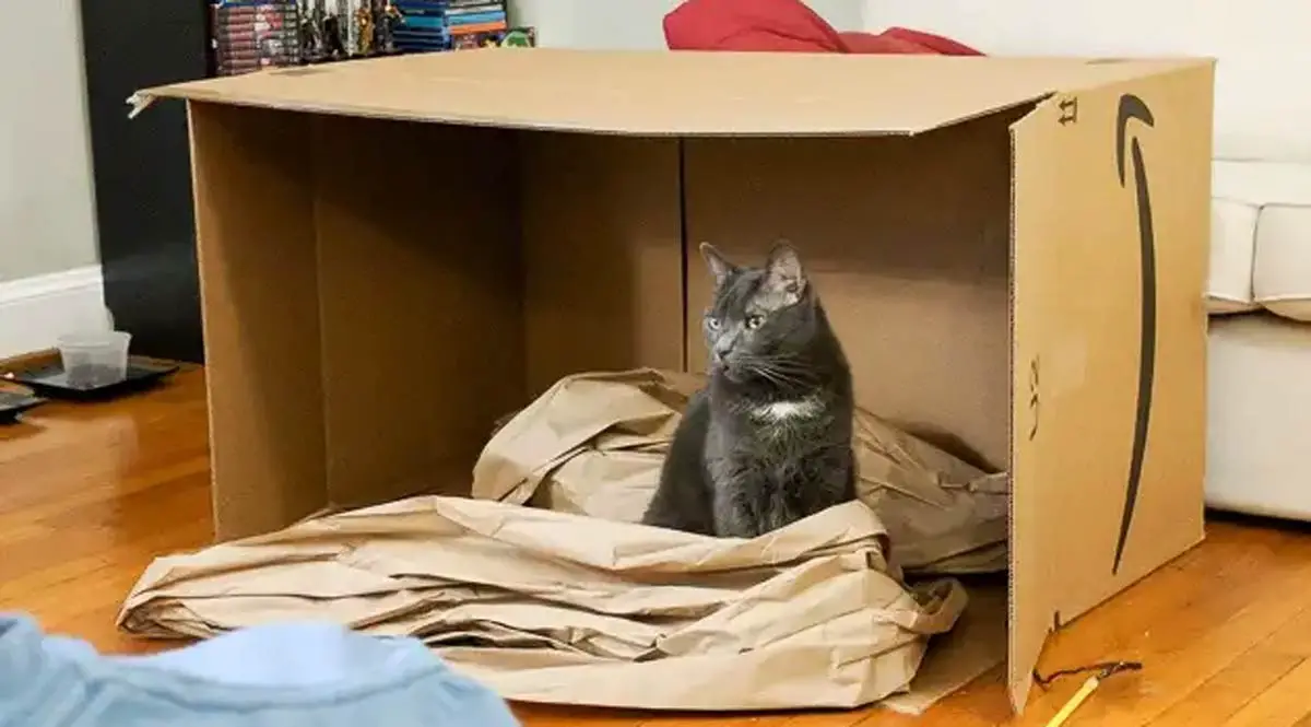 A cardboard box