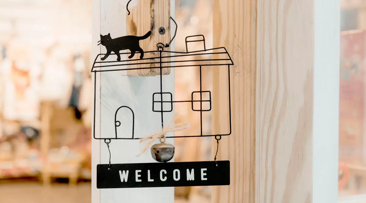 Designing a Cat-Friendly Home: 10 Tips for The New Owners