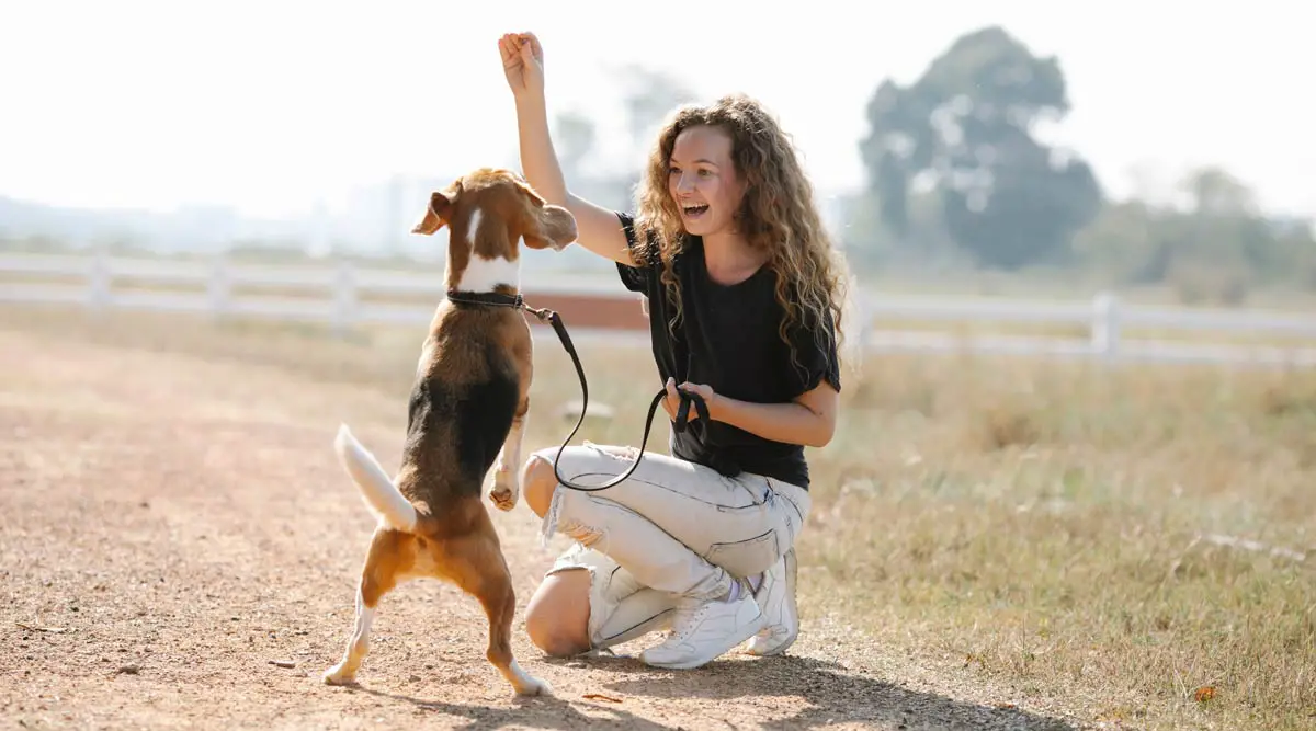 Training Tips: Why and How to Socialize Your Dogs or Puppies