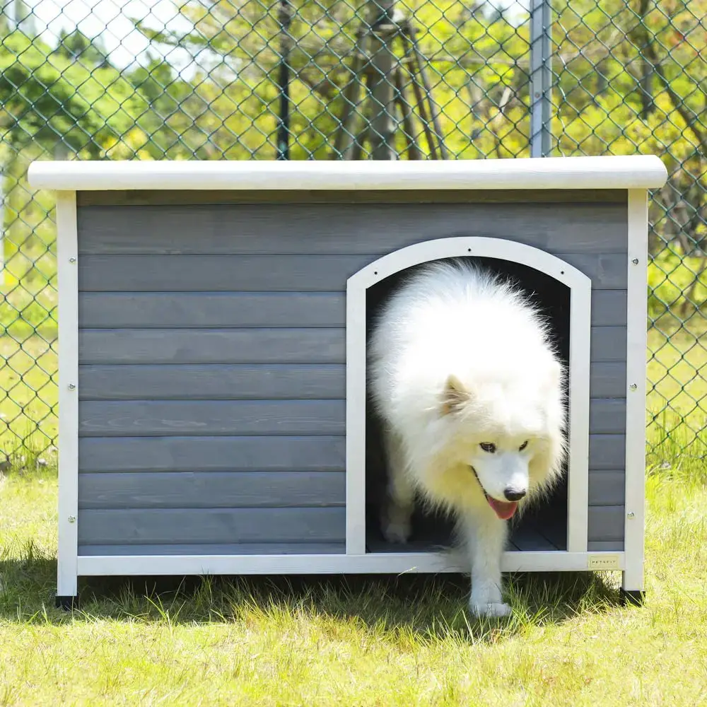 The 9 Best Dog Houses in 2023