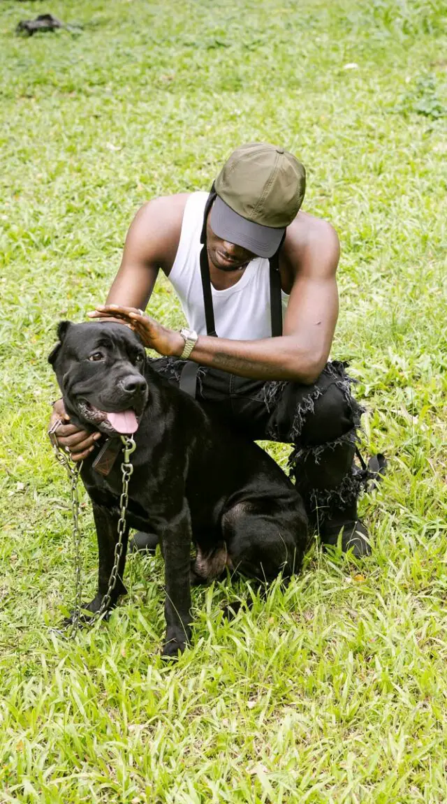 Cane Corso Care