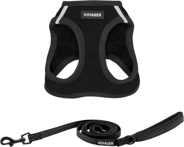 Best for Small Dogs: Voyager Step-In Air Dog Harness 