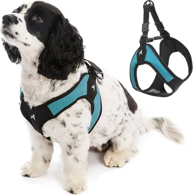 Gooby Escape Free Easy Fit Harness