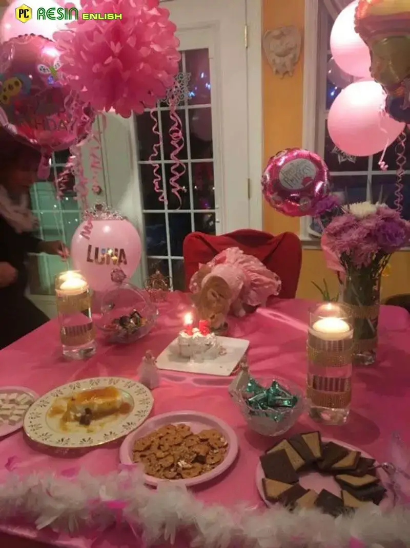 A Quinceañera-Style Party Honors a Feline’s 15th Birthday