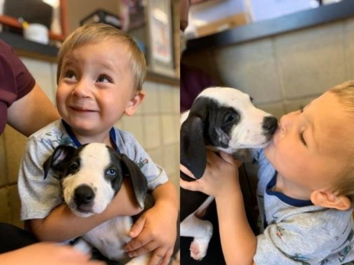 Heartwarming Tale: Dog’s Unbreakable Bond with Boy Overcoming Cleft Challenge