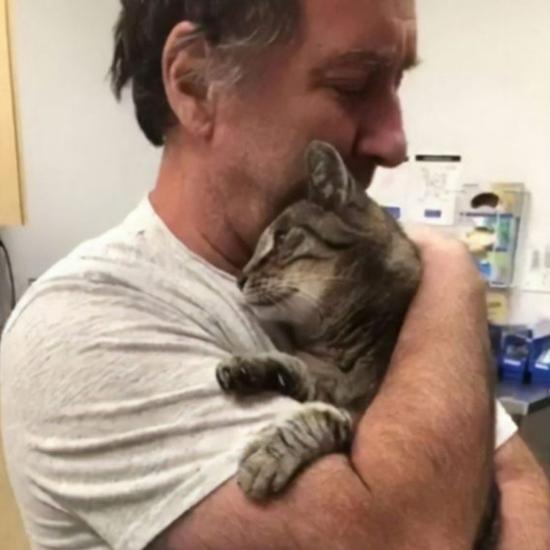 Man Is Reunited With His 19-Year-Old Cat Who Was Missing For 7 Years