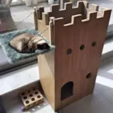 Man Builds This Cat Castle For His Furry Princess And It’s Simply Purr-fect