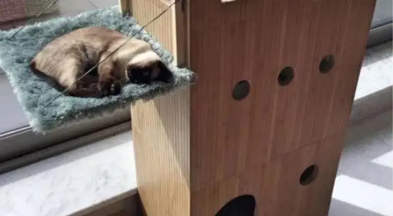 Man Builds This Cat Castle For His Furry Princess And It’s Simply Purr-fect