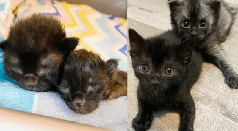 Feeling Uncelebrated: Navigating a Birthday Without Blessings