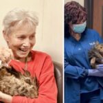 Women and Her Beloved Feline Aggie Reunited 2 Months After the Palisades Fire Destroyed Their Lives