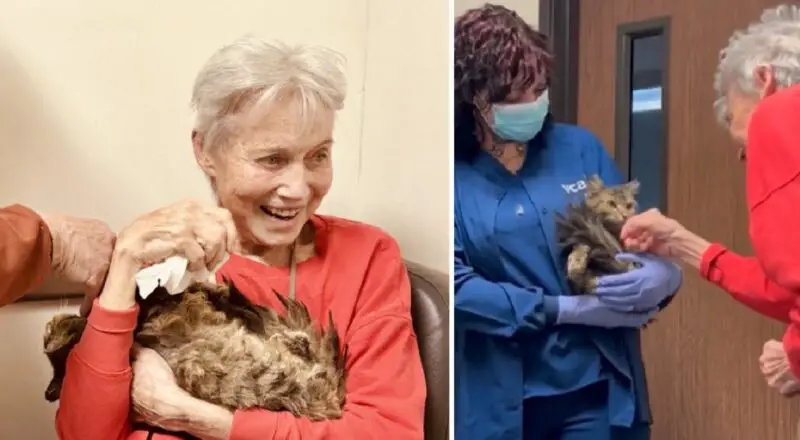 Women and Her Beloved Feline Aggie Reunited 2 Months After the Palisades Fire Destroyed Their Lives