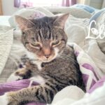 An Update on My Health 11-12-23