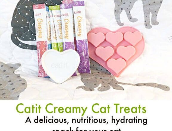 Catit Creamy – A Delicious Hydrating Cat Treat (And a Giveaway)