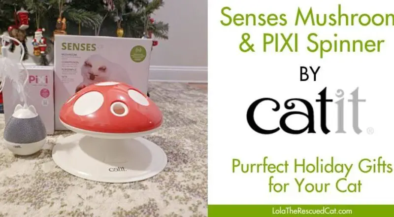 Catit PIXI Spinner and Senses Mushroom – Purrfect Holiday Gifts for Your Cat