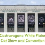 Catstravanga White Plains – A Cat Lover’s Weekend!