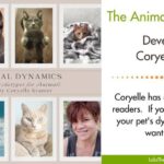 Coryelle Kramer’s Animal Dynamics Special