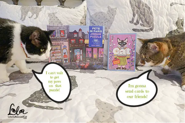 Gifts for Cat Lovers by Union Square & Co. (And a Giveaway!)