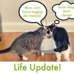 Selfie Sunday and an Update – 6/25/23