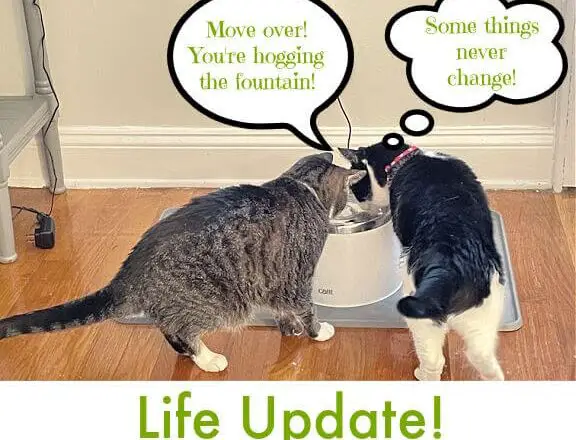 Selfie Sunday and an Update – 6/25/23