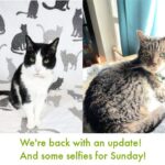 Selife Sunday 9/10/23 and an Update
