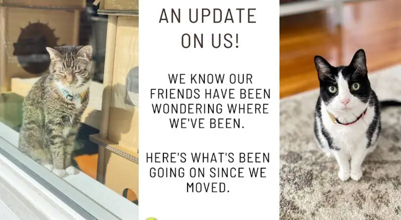 What We’ve Been Up To – An Update