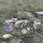 Rescuer’s Love Revives Abandoned Dog Bunny in Desert Rescue Miracle