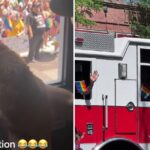 Selkirk the Cat Rides in Parade to the Delight of All
