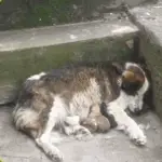 Thrown Away Before Birth, Now Surrounded by Love